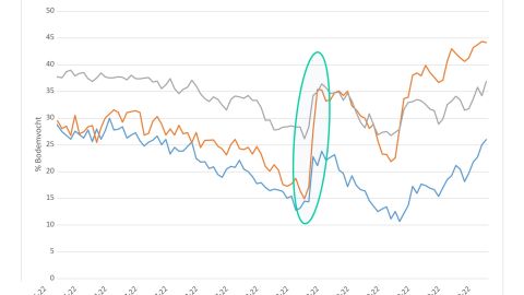 The graph shows that the moisture content in the soil decreases only slowly. Only 5 months after planting was watered for the first time. 