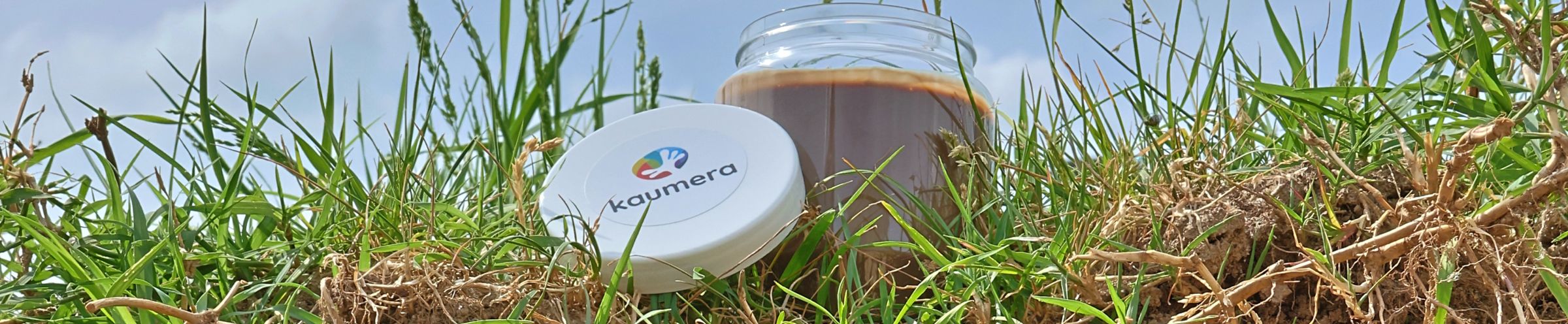 Circulaire plantversterker en groeiverbeteraar